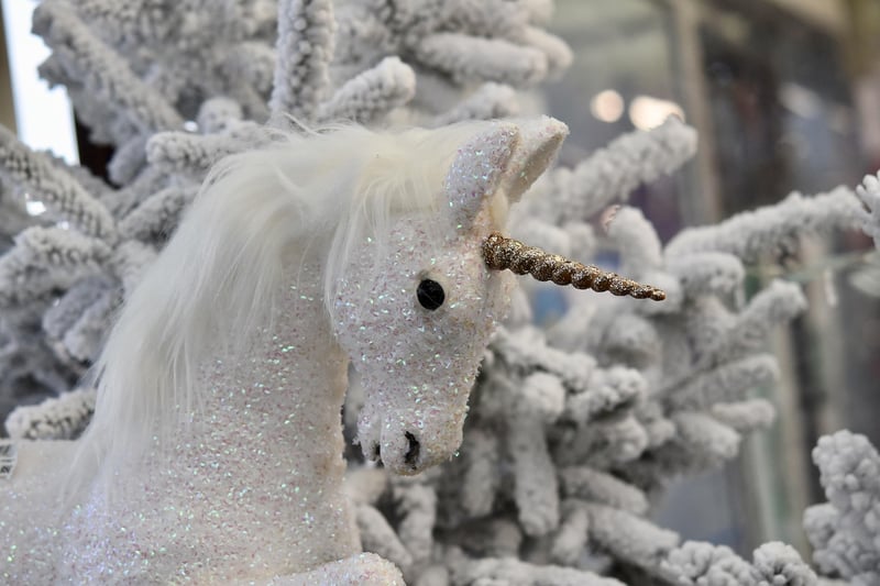 Unicorn Shows